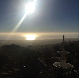 Meet your Posher, Allyson